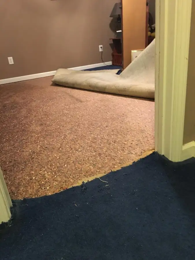 Carpet pad removal revealing water damage during Drying & Dehumidification in Newburyport